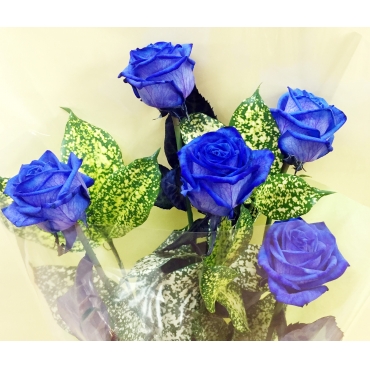 青いバラ…「ブルーローズ」【５本】の花束、BOX入り